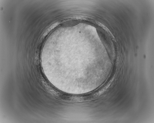 X0000085750977200704131706