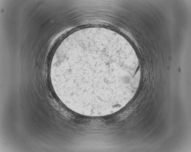 X0000085750979200704131706