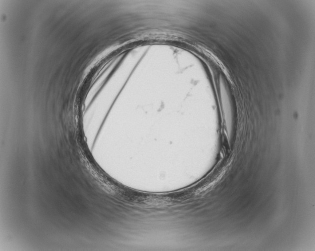 X0000085750981200704131706