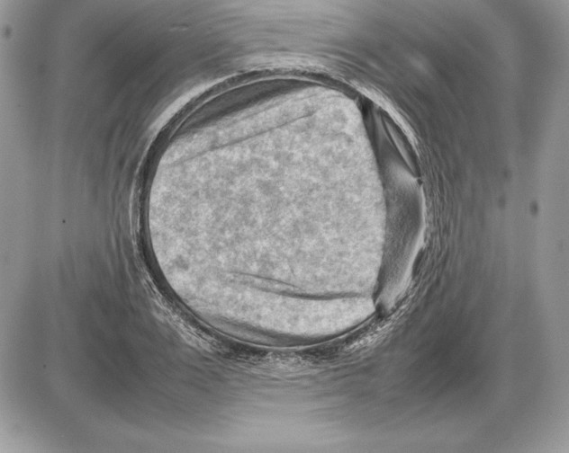 X0000085750983200704131706