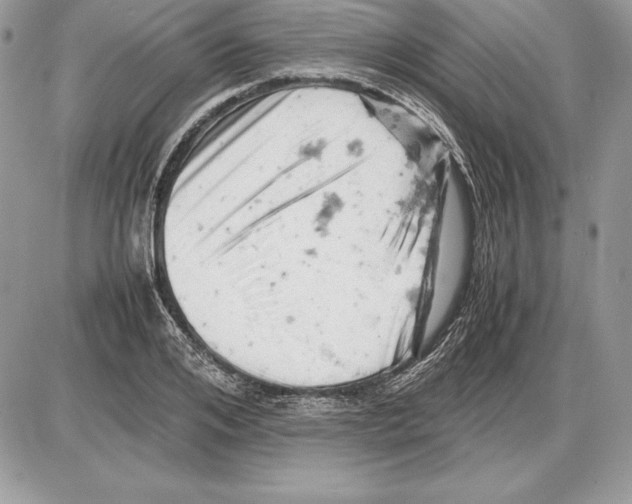 X0000085750984200704131706