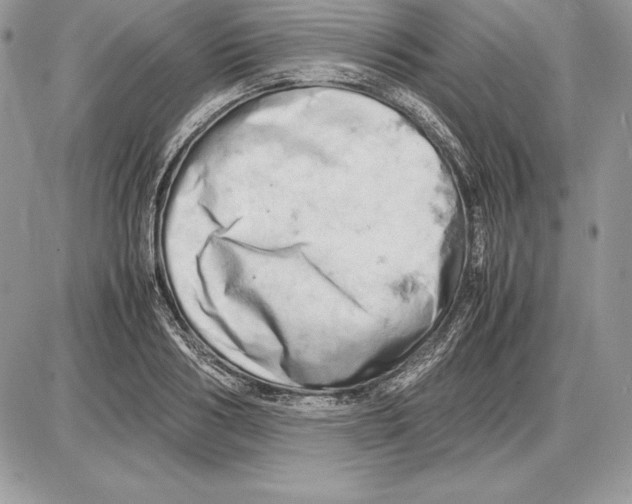 X0000085750986200704131706