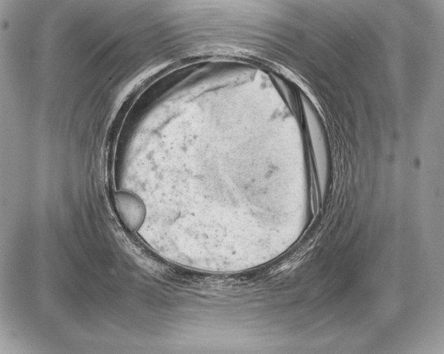 X0000085750987200704131706