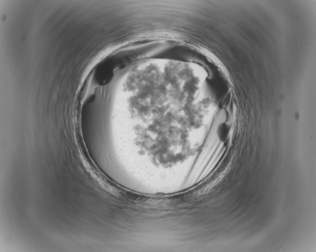 X0000085750989200704131706