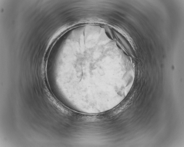 X0000085750990200704131706