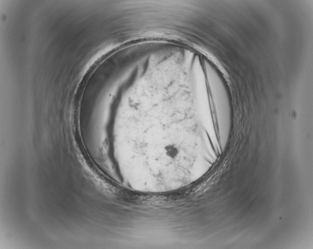 X0000085750991200704131706