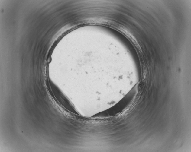 X0000085750992200704131706