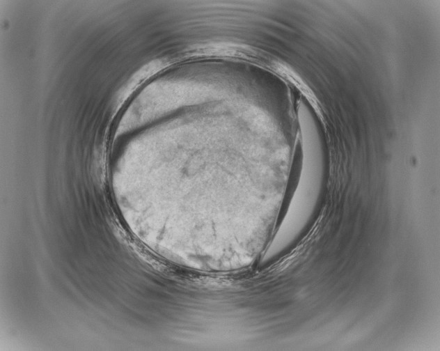 X0000085750994200704131706