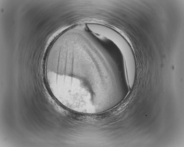 X0000085750995200704131706