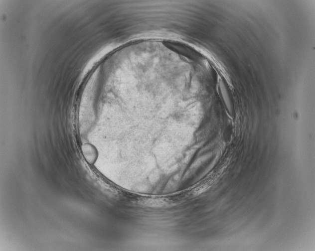 X0000085750998200704131706