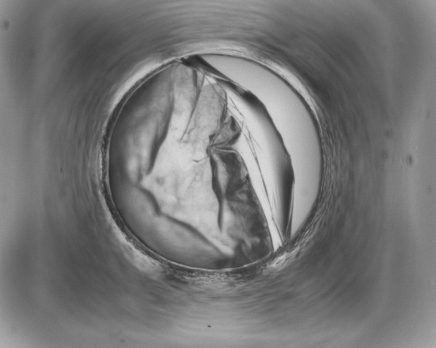 X0000085750999200704131706