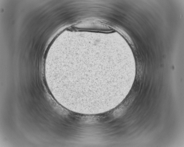 X0000085751000200704131706