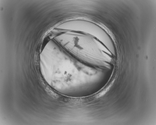 X0000085751001200704131706