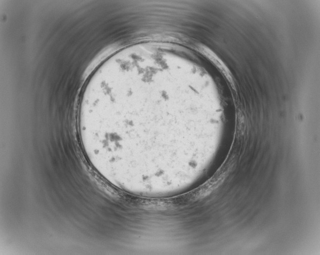 X0000085751002200704131706