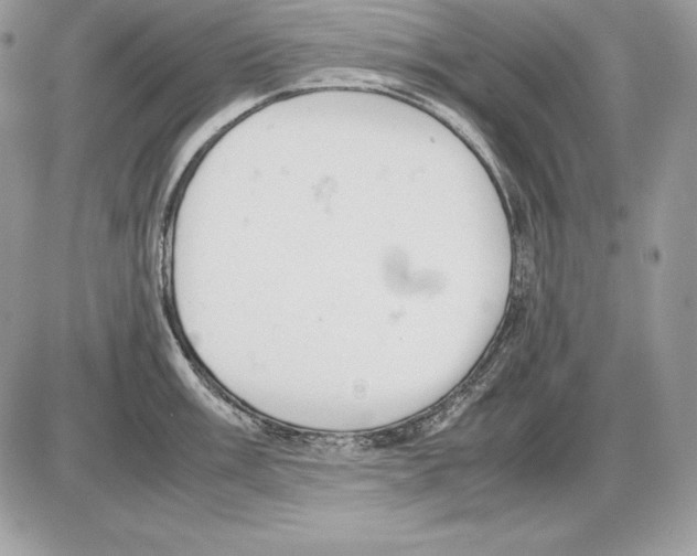 X0000085751003200704131706