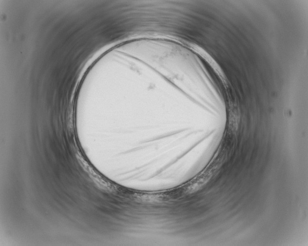 X0000085751004200704131706