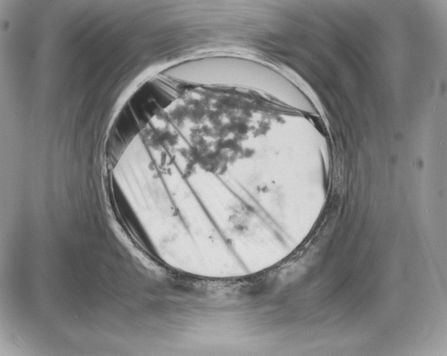 X0000085751005200704131706