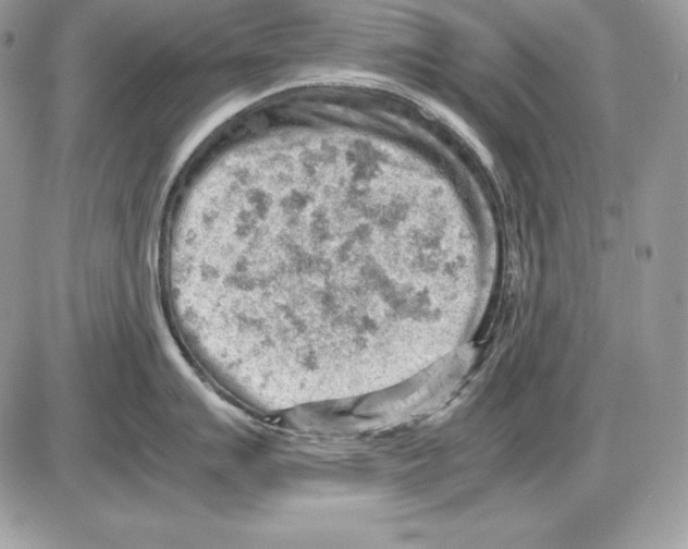 X0000085751007200704131706