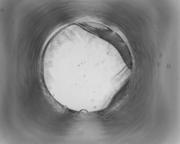 X0000085751008200704131706