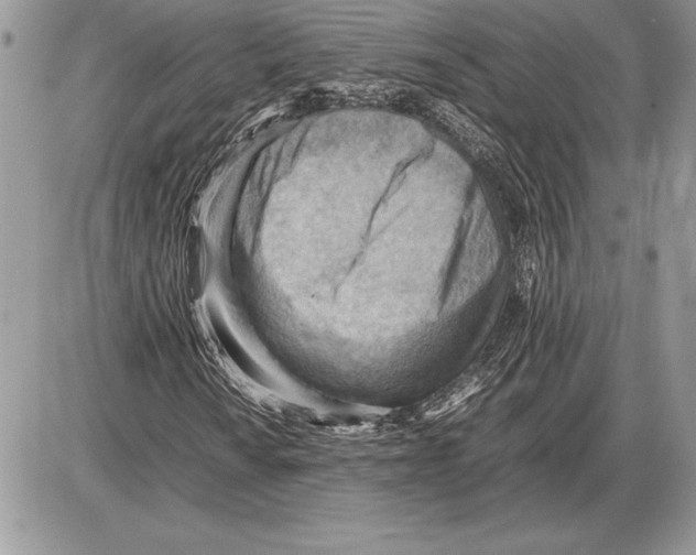 X0000085751010200704131705