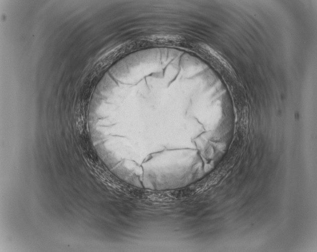 X0000085751015200704131705