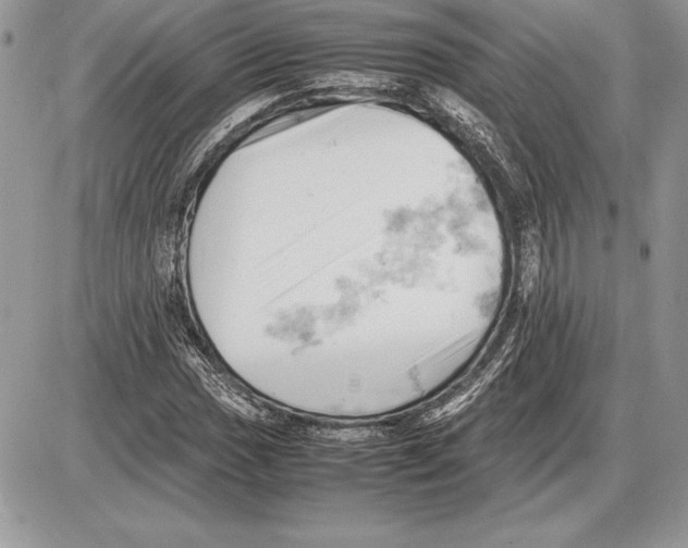 X0000085751017200704131705