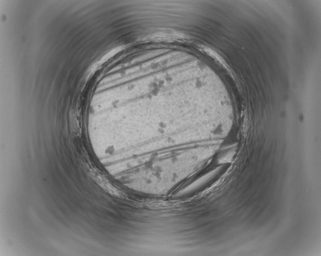 X0000085751018200704131705