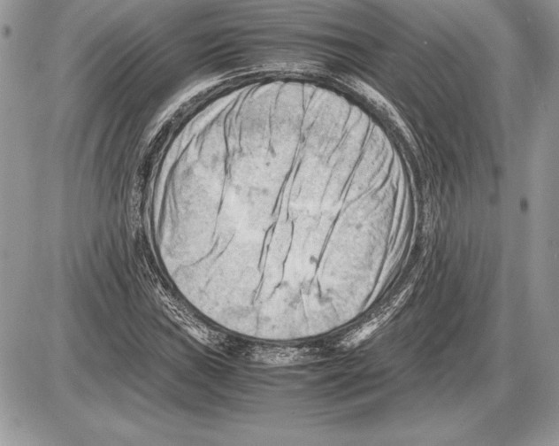 X0000085751019200704131705