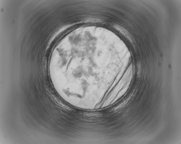 X0000085751021200704131705