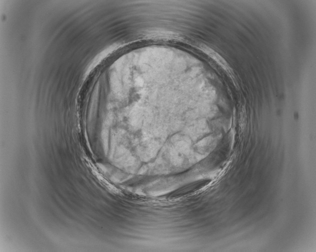 X0000085751022200704131705