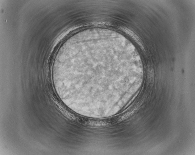 X0000085751023200704131705