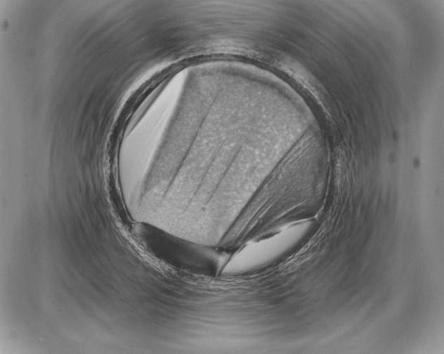 X0000085751024200704131705