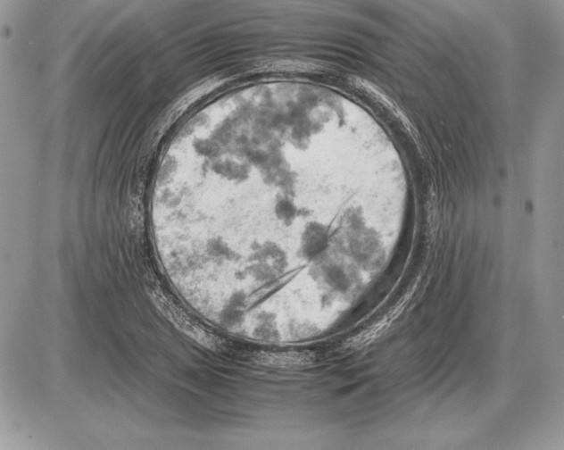 X0000085751025200704131705