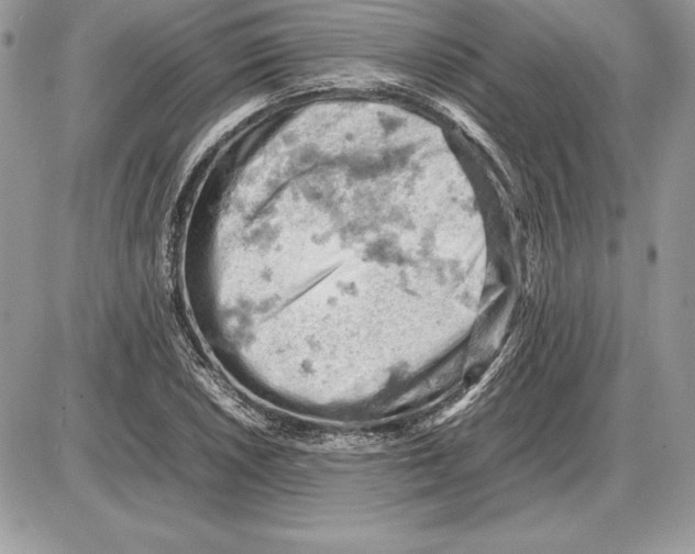 X0000085751026200704131705