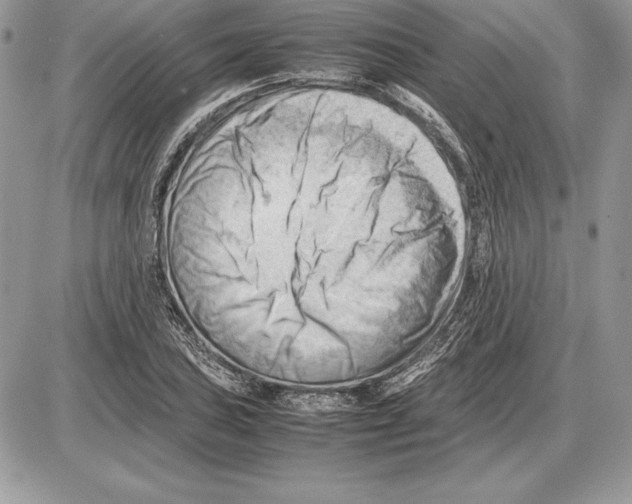 X0000085751027200704131705