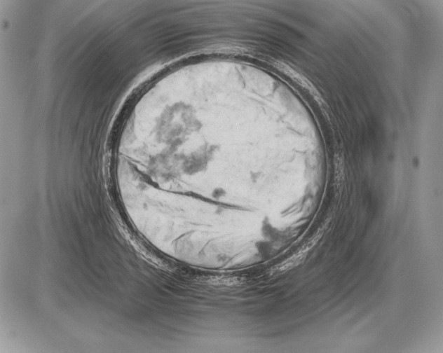 X0000085751029200704131705