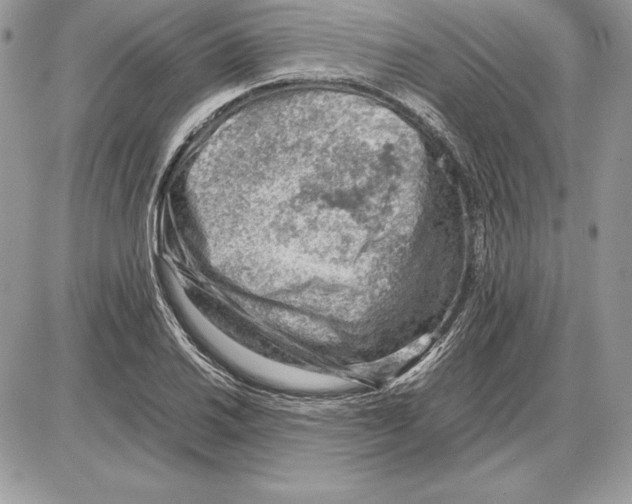 X0000085751030200704131705