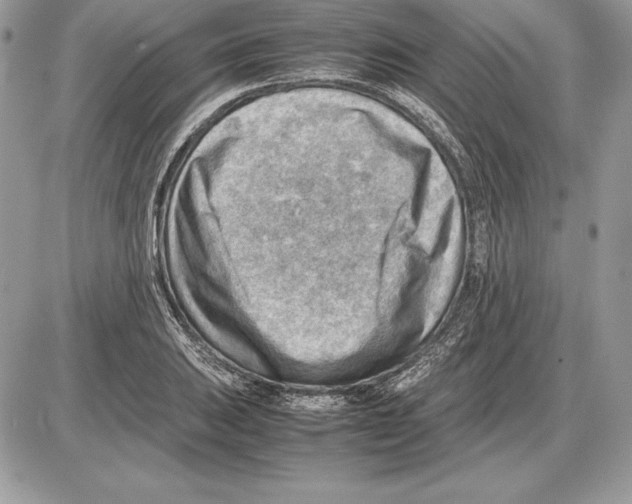 X0000085751031200704131705