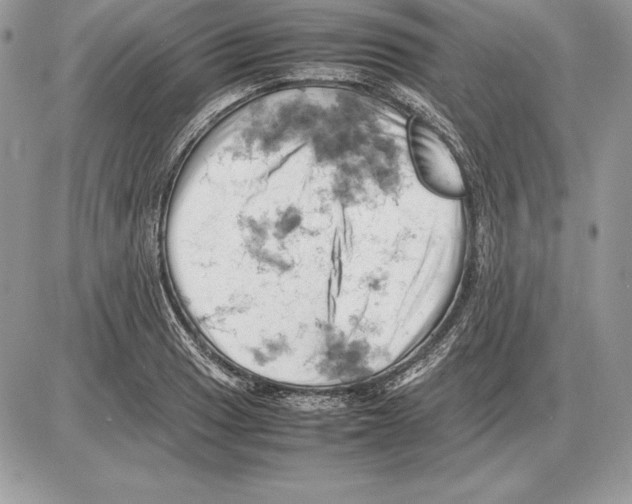 X0000085751033200704131705