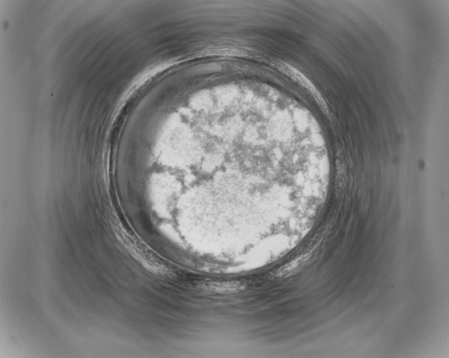 X0000085751035200704131706