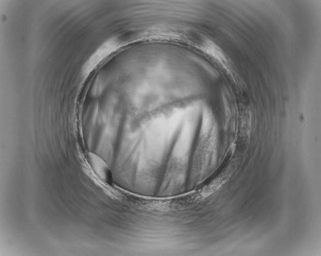 X0000085751038200704131706