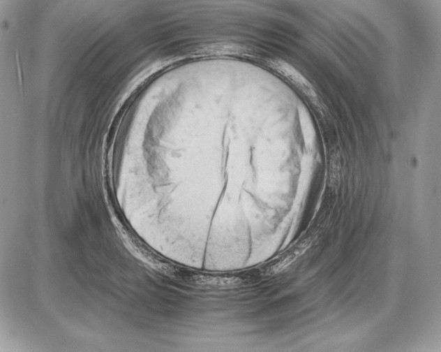 X0000085751039200704131706