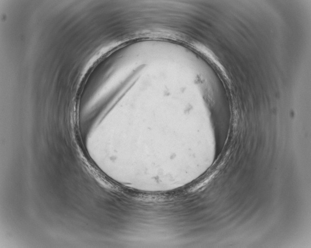 X0000085751040200704131706