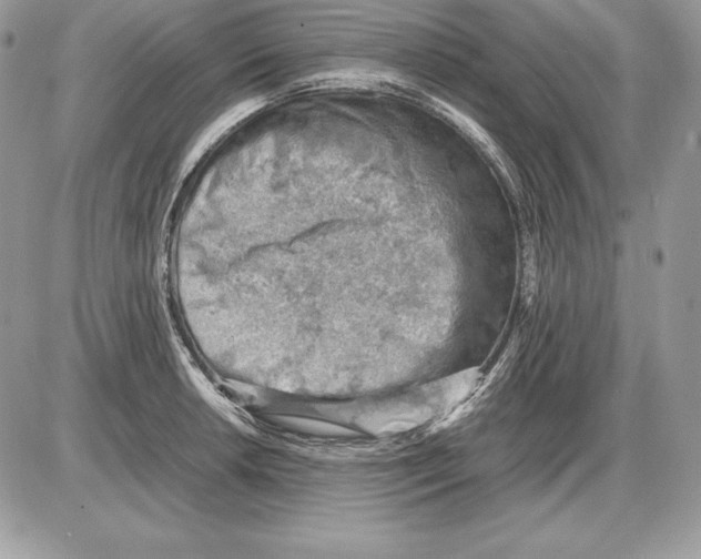 X0000085751042200704131706