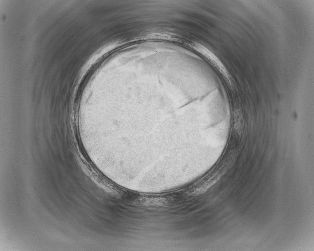 X0000085751043200704131706