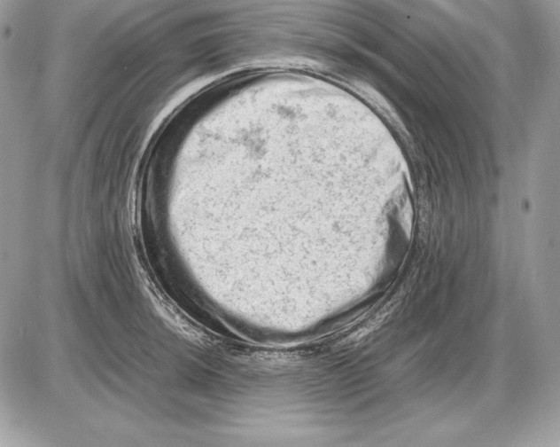 X0000085751044200704131706