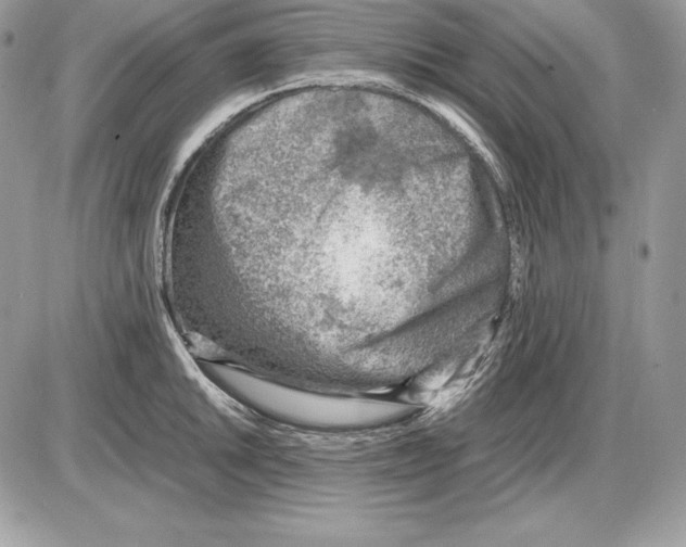 X0000085751046200704131706