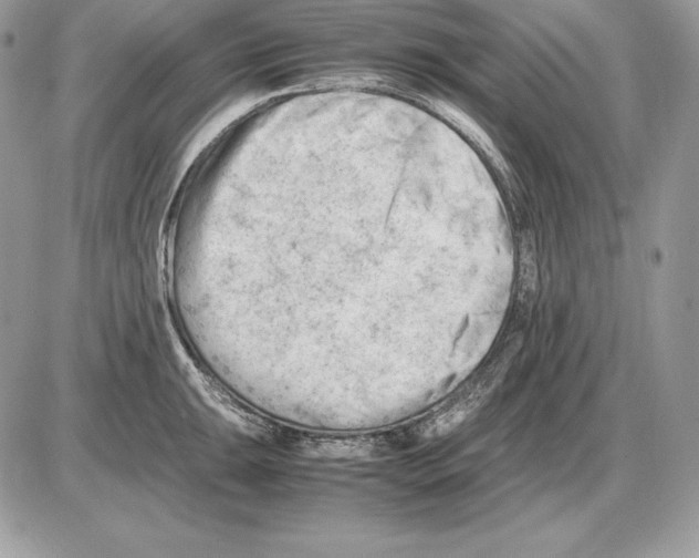 X0000085751047200704131706