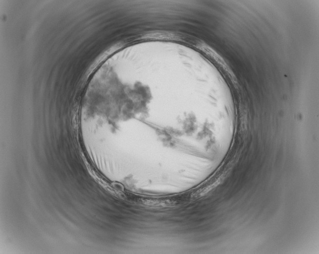 X0000085751049200704131706