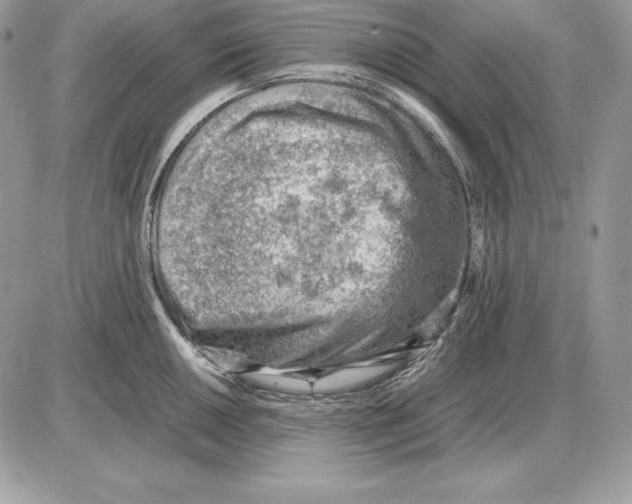 X0000085751050200704131706